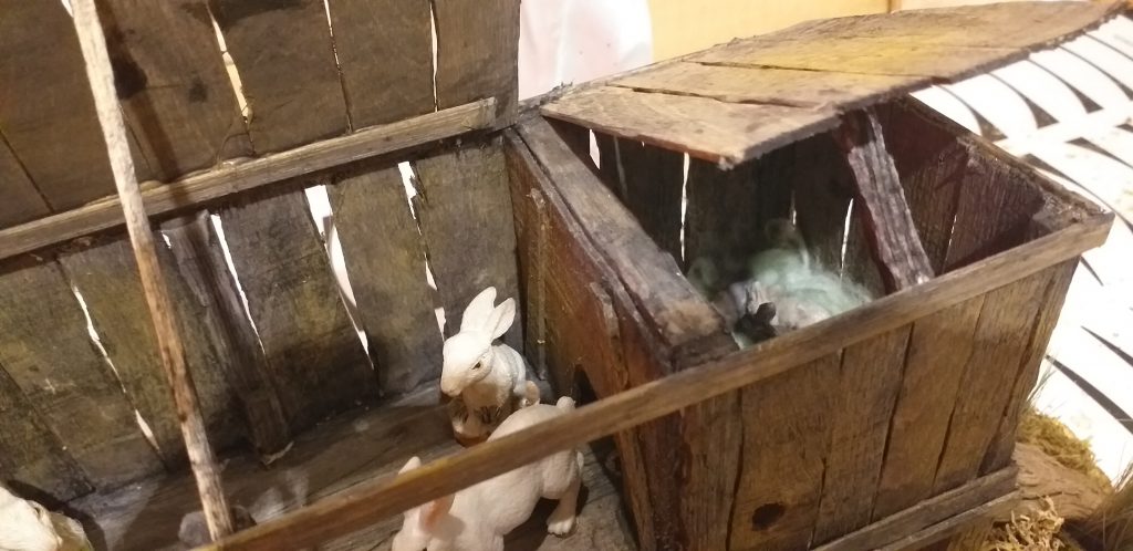 Cajón para conejos